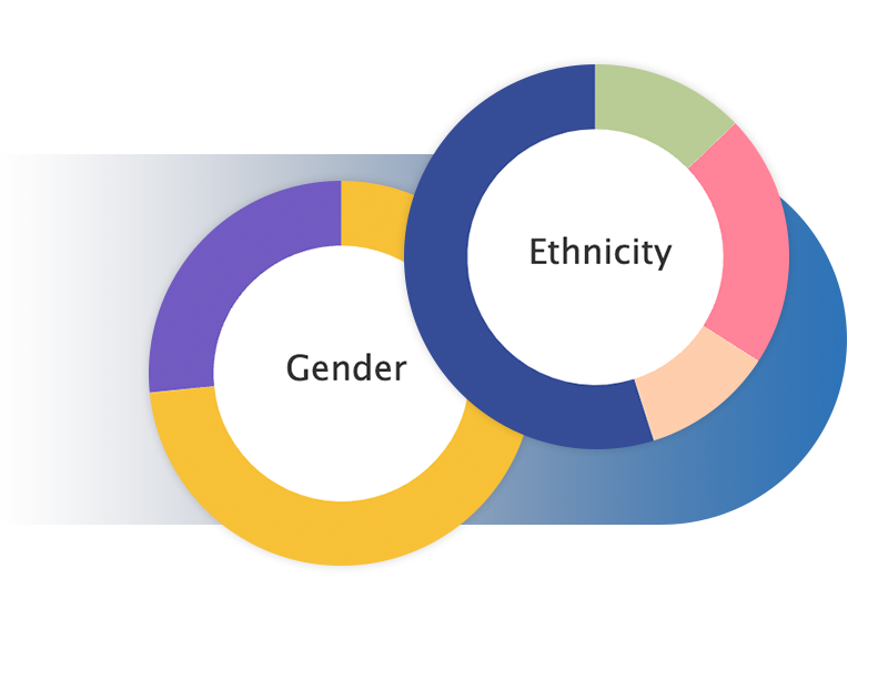 Gender and ethnicity insights in platform with Claro Analytics